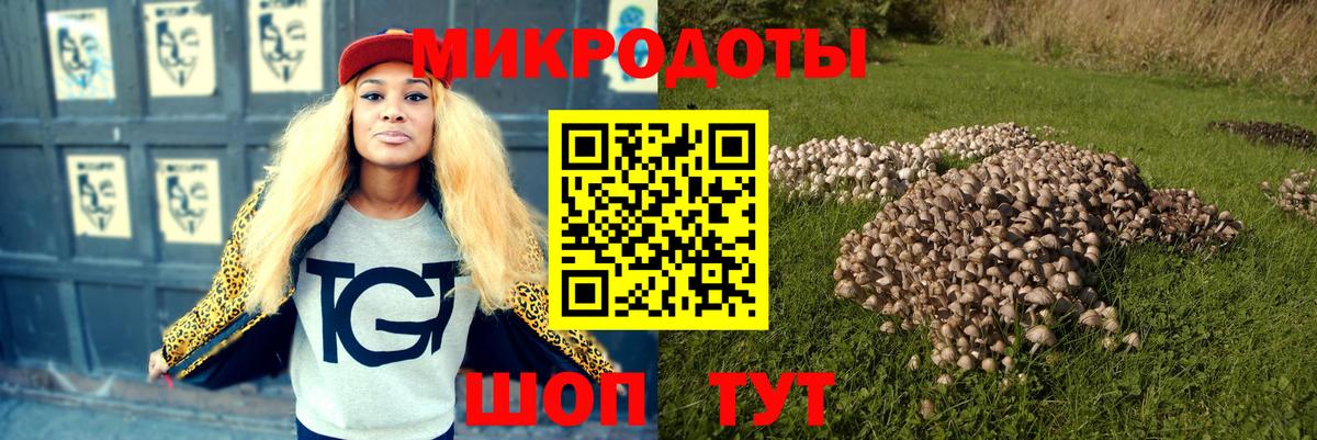 Буйнакск  Галлюциногенные грибы Cubensis  Вход с VPN 