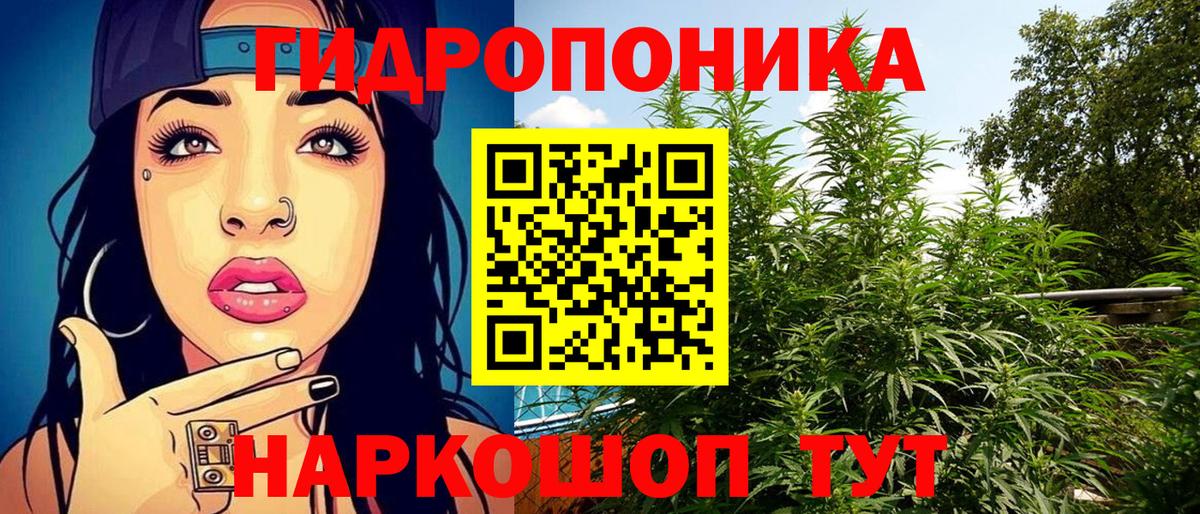 Конопля семена  Вход с VPN  Конопля конопля  Буйнакск  Канабис Bruce Banner 